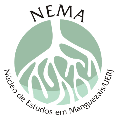 Logo_NEMA_SemFundo